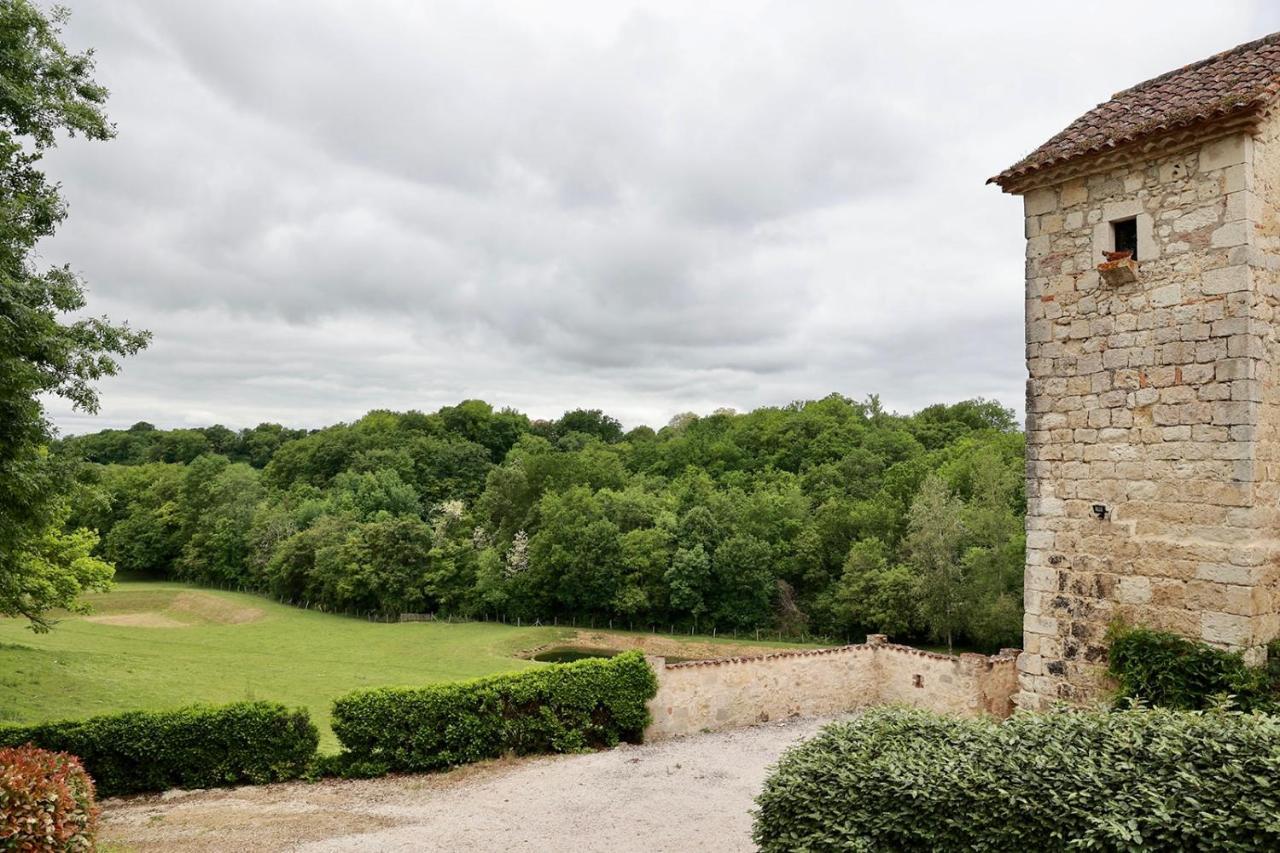 Chateau De Pleneselve Bon-Encontre Экстерьер фото