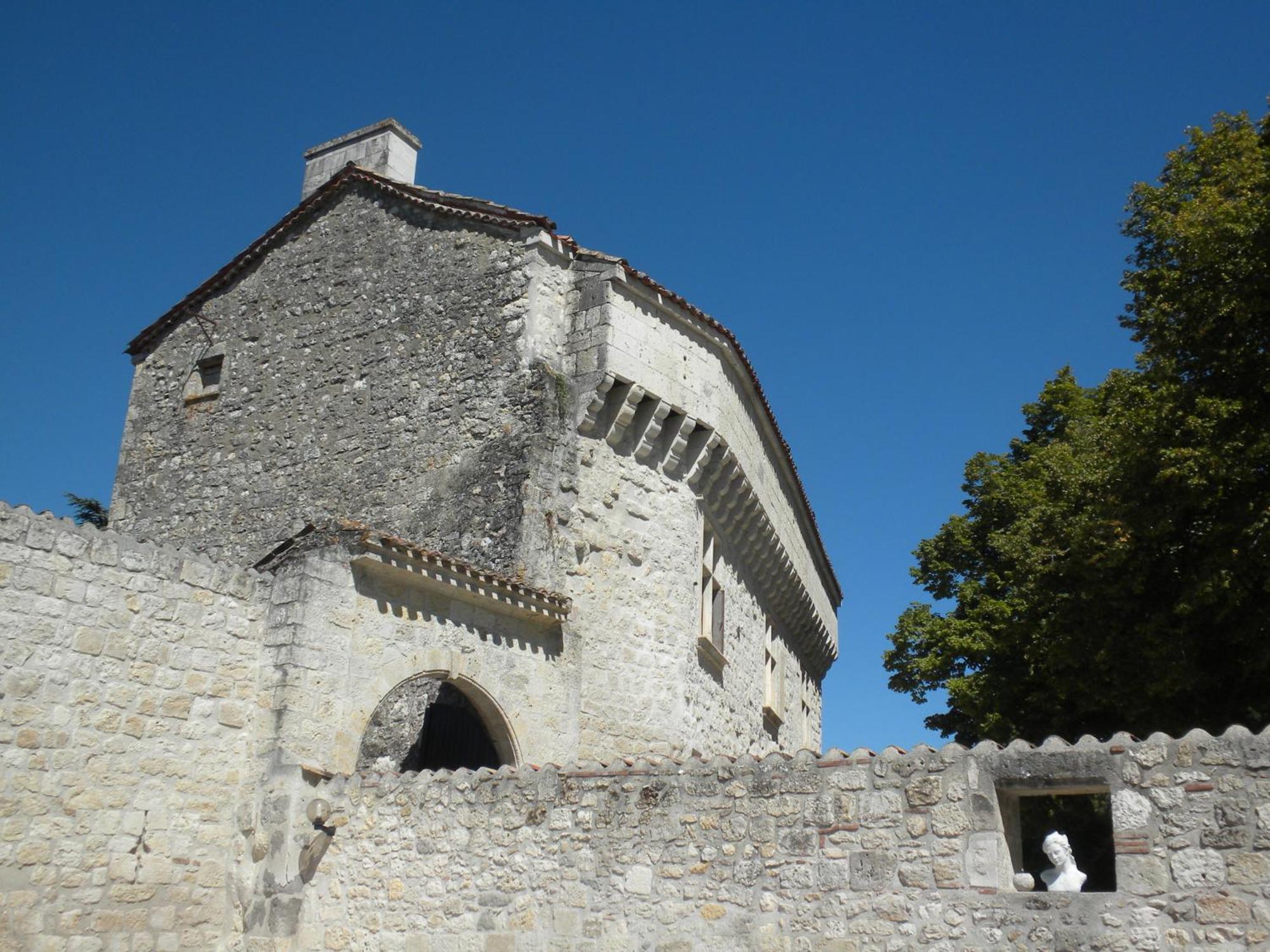 Chateau De Pleneselve Bon-Encontre Экстерьер фото