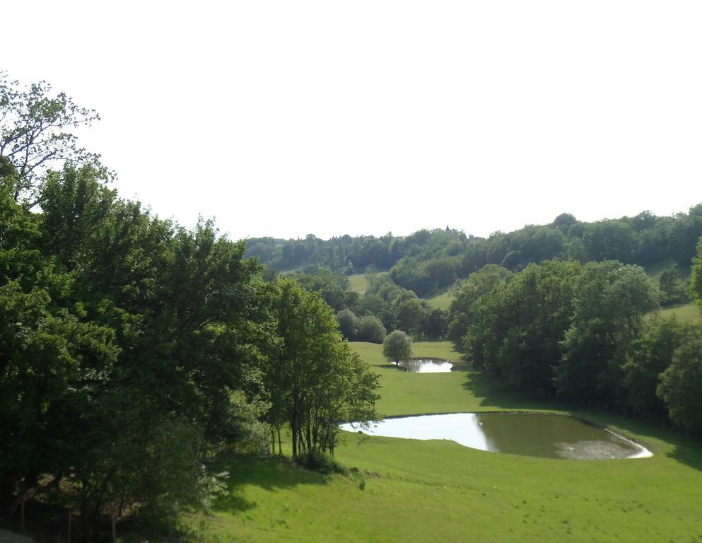 Chateau De Pleneselve Bon-Encontre Номер фото
